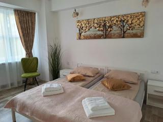 7 Levél Central Apartments - Miercurea-Ciuc - 9
