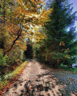 SielskoAnielsko w Beskidzie Niskim - 8