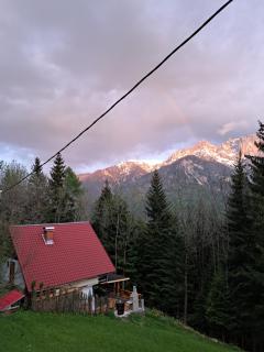 House Franja - Kranjska Gora - 1