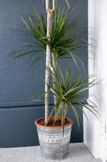 Peaceful Apartment, Private Parking, Long Stay Prices, Close To Uni, Hosp, Centre - 3