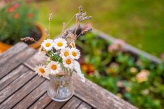 Casa Rural La Carretería - 8