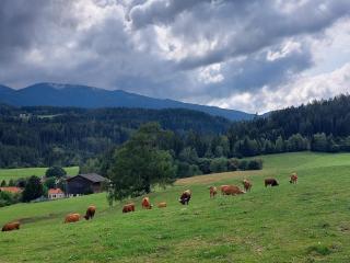 Graslandhof - 7