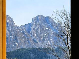 Modrzejewska Residence Apartament z Góralką Giewont View by RentiloPL - Zakopane - 6