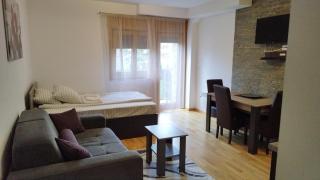 Šarm studio 101 - Zlatibor - 7