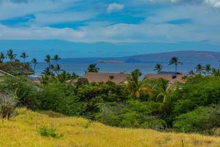 Kihei Ali'i Kai D201 condo - Kihei - 1