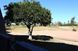 Golf Course Camello Vista - Scottsdale - 4