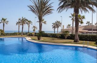 estrellademar - 0