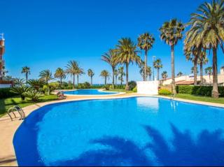 estrellademar - 6