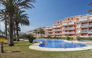 estrellademar - 3