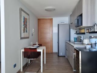 Antofagasta de Ensueño-SOLO ADULTOS - 2