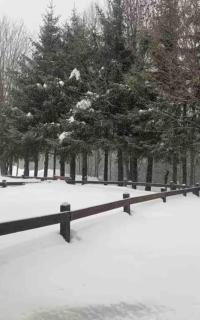 Appartamento ampio giardino adiacente piste sci 4/6 posti letto - La Thuile - 4