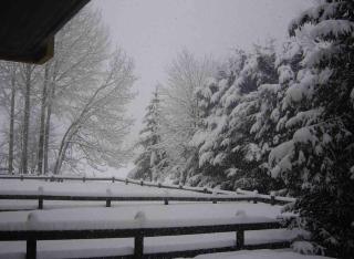 Appartamento ampio giardino adiacente piste sci 4/6 posti letto - La Thuile - 8