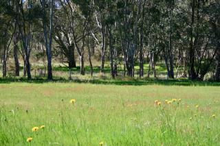 Serena Cottages Beechworth - Your Country Getaway - 1 - Beechworth - 1