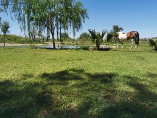Complejo Koi - General Alvear - 2