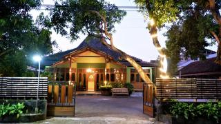 Sleepy Raccoon Hostel - Yogyakarta - 0