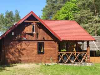 Duży domek przy lesie - 8