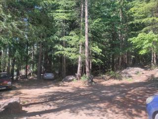 Aaruhee Homestay - 2