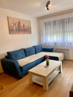 Apartment DINO Zlatibor - 4