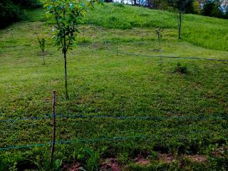 Camping Ciungani - 3