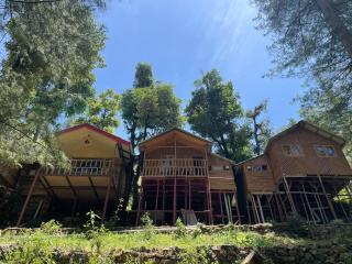 The Shalli Tribe - Shimla - 5