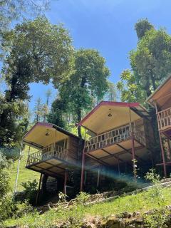 The Shalli Tribe - Shimla - 6