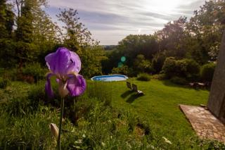 Apartment with view and garden - Quercia - Ghizzano - 7