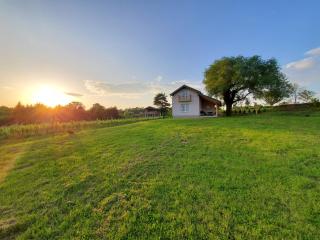 Holiday home Vinovilla - Kutjevo - 9