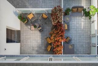 Nido Suite & Apartments - Cesenatico - 8