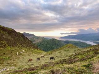 Y Gribyn - Modern stone cottage within Snowdonia's National Park - Dolgellau - 3