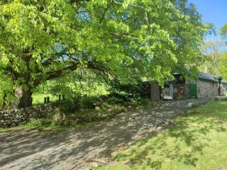 Y Gribyn - Modern stone cottage within Snowdonia's National Park - Dolgellau - 7