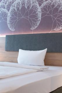 Taste Hotel Jettingen - Jettingen-Scheppach - 4