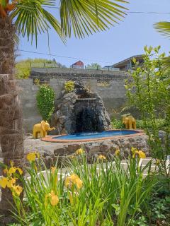 Green Garden - Batumi - 4