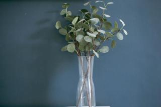 Spacious Apartment, Free Parking, Central Location Near To Uni, Hospital, Town - 2