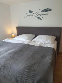 Ferienwohnung am See - Regis-Breitingen - 3