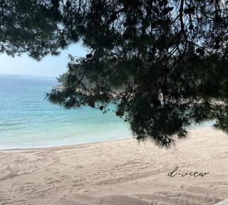 d-view Premium Mobile Home - panoramic seaview - 150 m from beach, free parking - Drage - 3