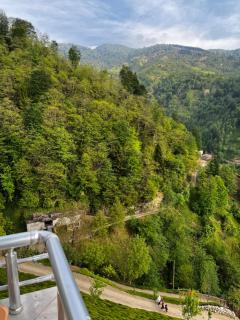 Gunguli Pansiyon - 7