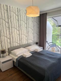 Sosnowe Apartamenty - Marina 2 - Augustów - 1
