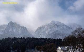 CASA LUCHIANCU SRL - Buşteni - 7