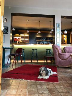 Red Goat Hostel - Tirana - 2