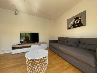 Laura Cosy T2 *CLIM* Proche Gare - Grenoble - 1
