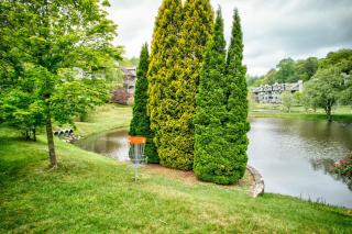 Chetola: Berkshires 3 - Blowing Rock - 4