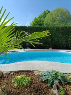 Picnic Room and Pool - Castelnuovo del Garda - 1
