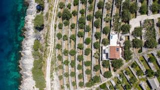 Sunny - Vela Luka - 8