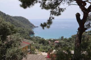 Tree Houses Hotel - Fethiye - 8
