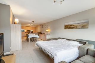 Luxury apartment with garden close to the beach - Ostend - 9