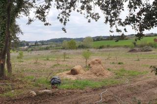 Mas provençal de charme au milieu des oliviers -Piscine-Clim - 6
