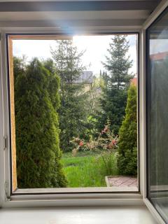 Pino Munika apartman - Zlatibor - 7