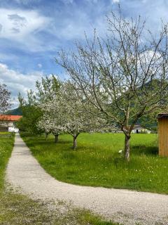 Ferienwohnung Klauserhof - Grassau - 5