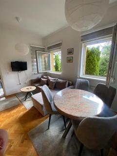 Pino Munika apartman - Zlatibor - 9