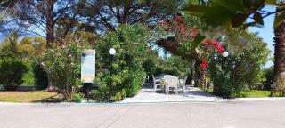 Polymnia Apartments - Spartià - 3